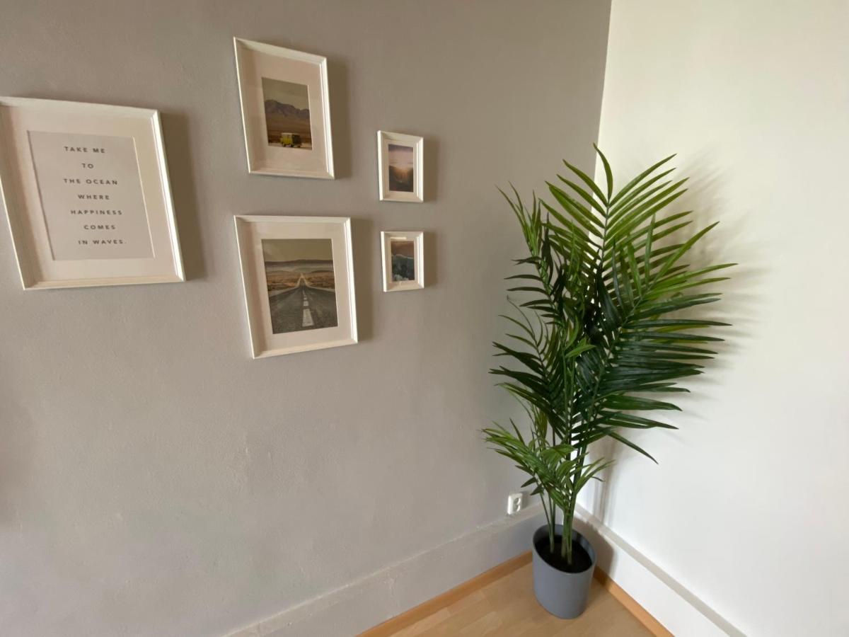 Apartament Downtown Flat Under Spilberk Castle Brno Zewnętrze zdjęcie